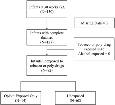 Prenatal Opioid Exposure and Intermittent Hypoxemia in Preterm Infants: A Retrospective Assessment